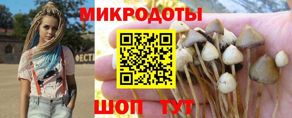 Галлюциногенные грибы Psilocybe Екатеринбург